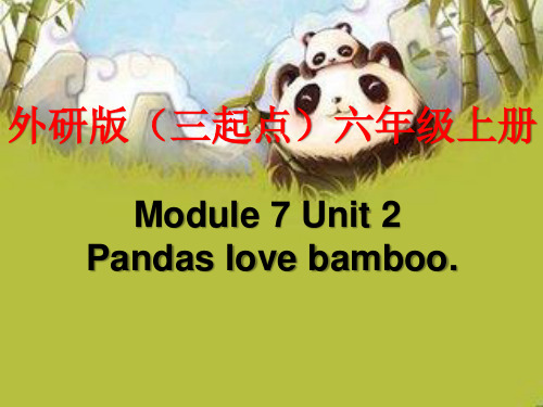 外研版六年级上册M7U2Pandas love bamboo.