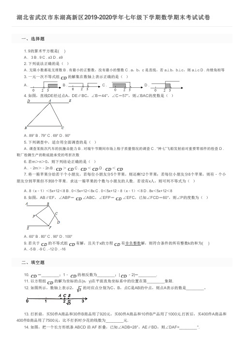 湖北省武汉市东湖高新区2019-2020学年七年级下学期数学期末考试试卷及参考答案