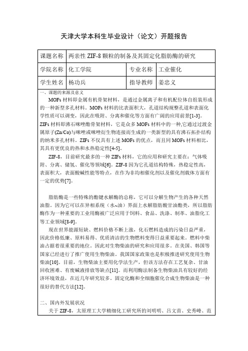 天津大学本科生毕业设计 开题报告