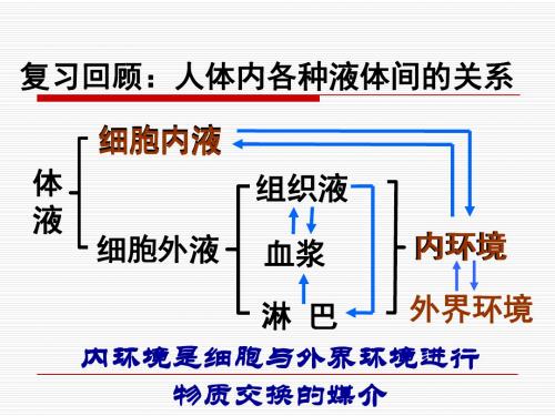 内环境稳态的重要性