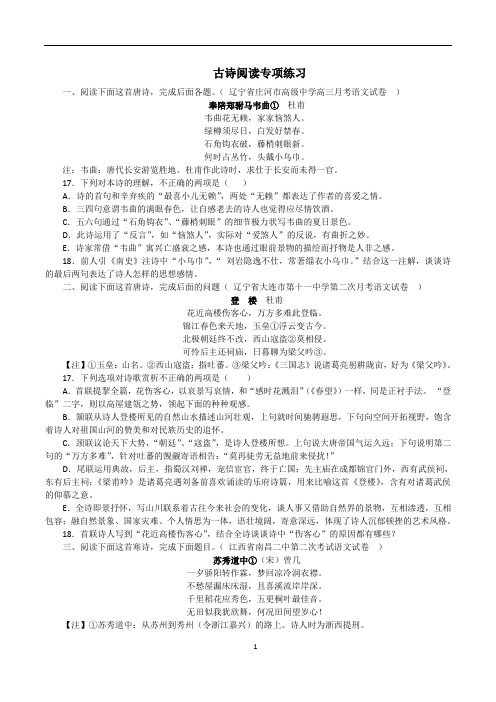 古诗阅读专项练习