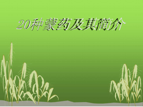 蒙药介绍PPT