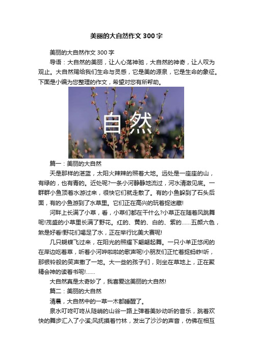 美丽的大自然作文300字