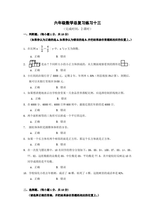 六年级数学总复习练习十三