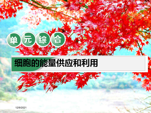 高考生物一轮复习第三单元细胞的能量供应和利用单元综合精选课件高三全册生物课件