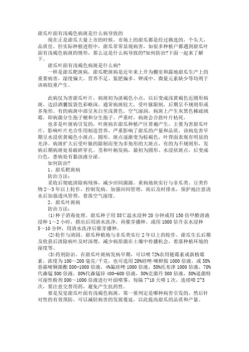 甜瓜叶面有浅褐色病斑是什么病导致的