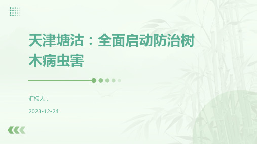 天津塘沽：全面启动防治树木病虫害