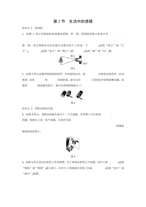 5.2生活中的透镜练习题人教版八年级物理上册