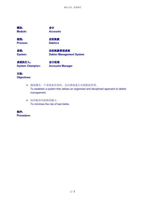 毕博管理咨询工具方法—Debtor Management SystemChinese