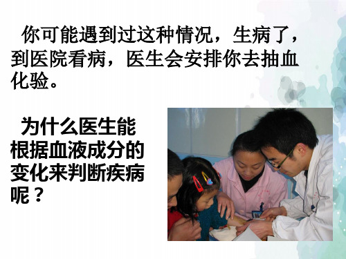 苏教版-生物-七年级下册-第四单元第十章第一节血液和血型课件