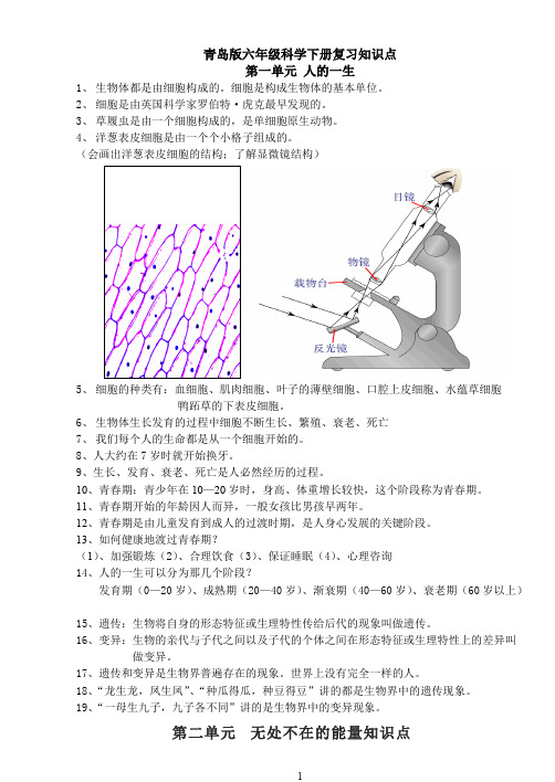 (推荐下载)青岛版六年级下册科学知识点总结366