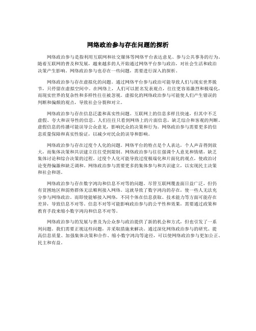 网络政治参与存在问题的探析