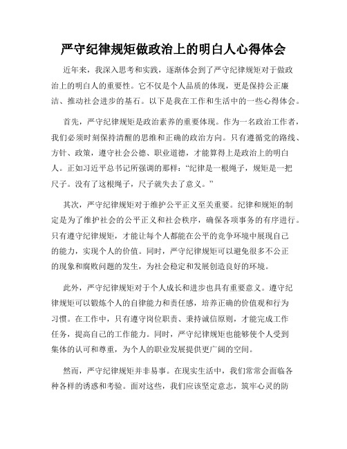 严守纪律规矩做政治上的明白人心得体会