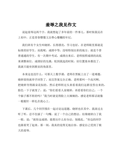 羞辱之我见作文