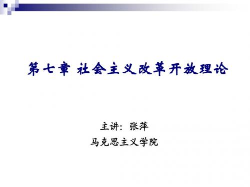 2013新版毛中特课件第七章社会主义改革开放理论