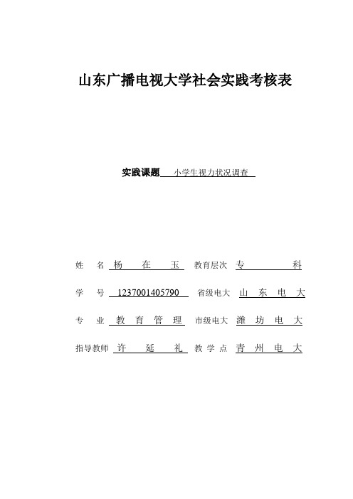 杨在玉 社会实践考核表