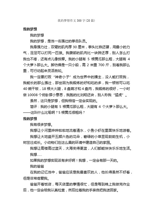 我的梦想作文300字（20篇）