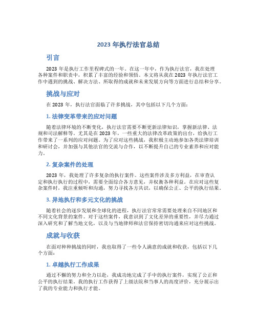 2023年执行法官总结