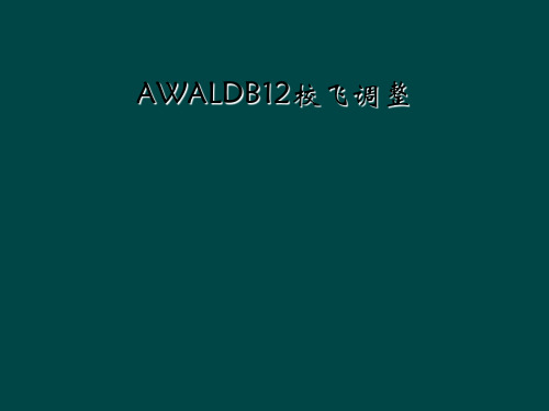 AWALDB12校飞调整