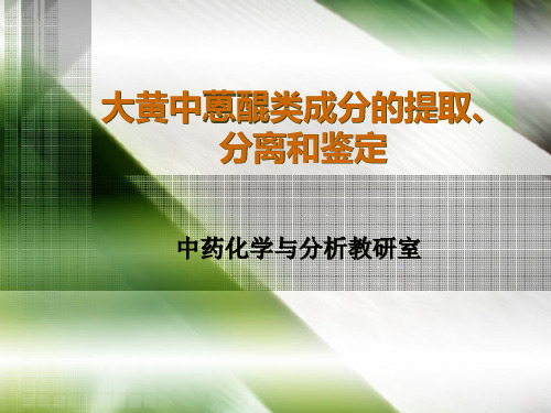 大黄中蒽醌类成分的提取、分离和鉴定