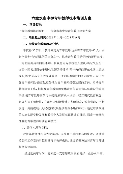 青年教师校本培训项目方案