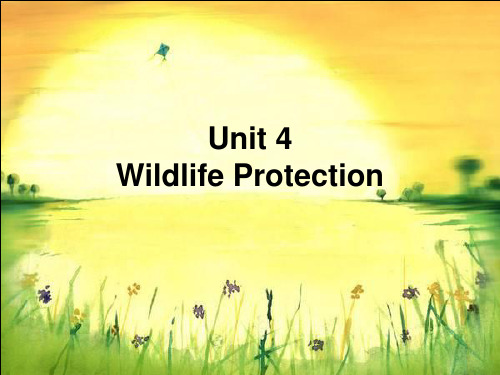 高一英语wildlife protection 课件