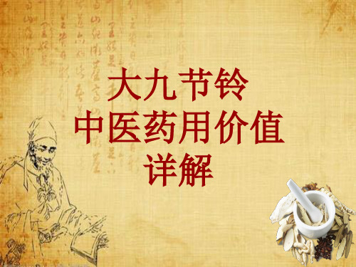 中药学_大九节铃_药材详解课件模板