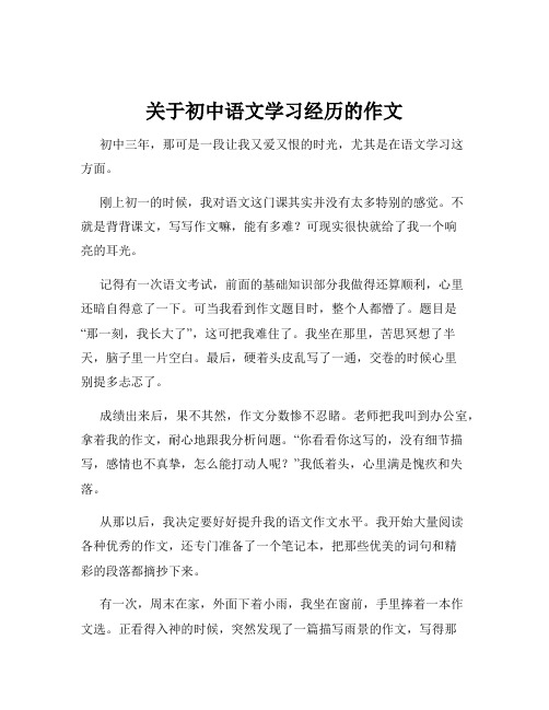 关于初中语文学习经历的作文