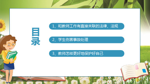 绿色小清新班主任工作中的法律风险及防范教育培训内容宣讲PPT课件