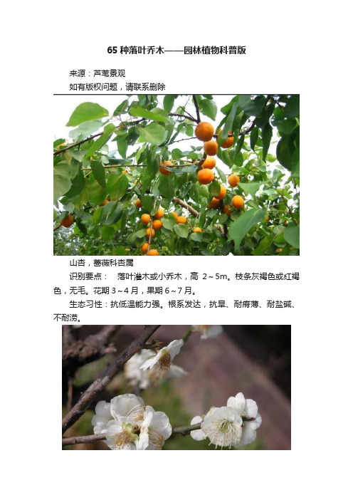 65种落叶乔木——园林植物科普版