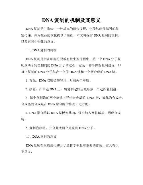 DNA复制的机制及其意义