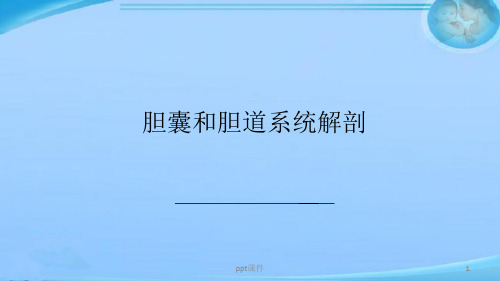 胆囊和胆道系统解剖  ppt课件