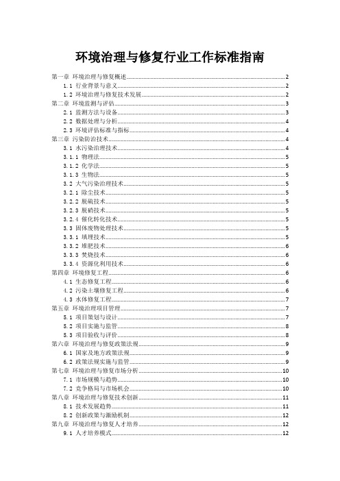 环境治理与修复行业工作标准指南