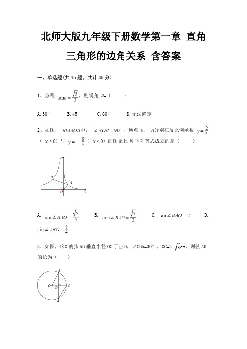 北师大版九年级下册数学第一章 直角三角形的边角关系 含答案