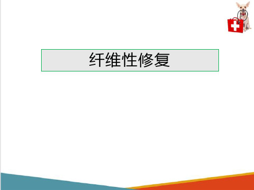 动物细胞和组织的适应、损伤与修复—损伤的修复(动物病理学课件)