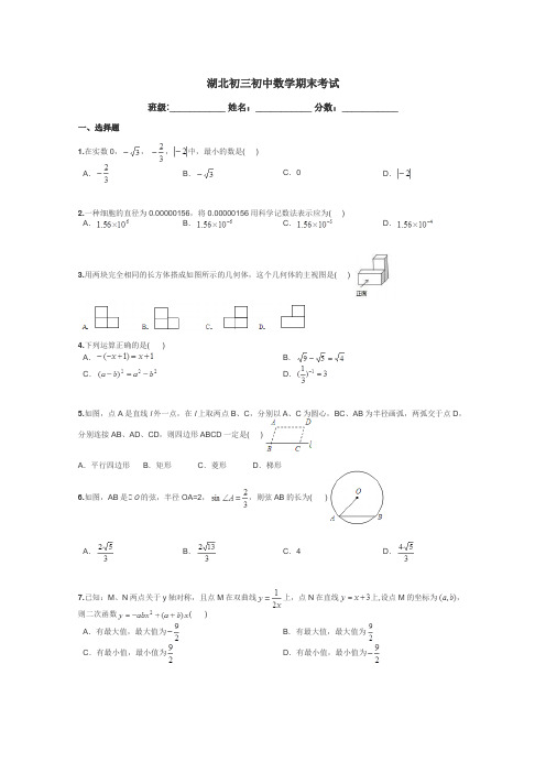 湖北初三初中数学期末考试带答案解析
