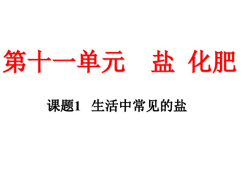 人教版化学下册第十一单元课题1 生活中常见的盐PPT(39张)(共39张PPT)