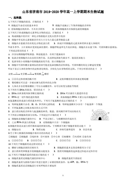 山东省济南市2019-2020学年高一上学期期末生物试题