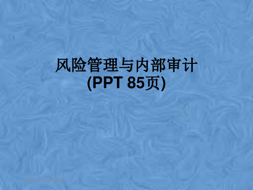 风险管理与内部审计(PPT 85页)