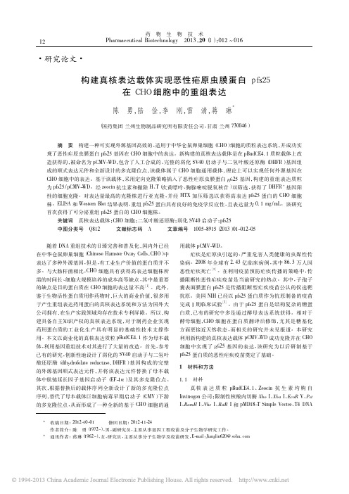 构建真核表达载体实现恶性疟原虫膜_省略_fs25在CHO细胞中的重组表达_陈勇