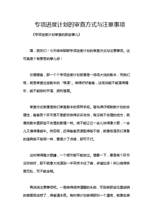 专项进度计划的审查方式与注意事项