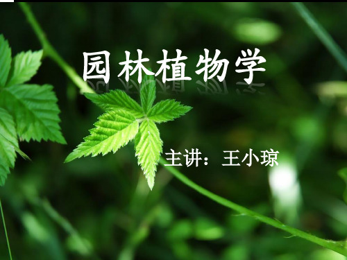 植物学2