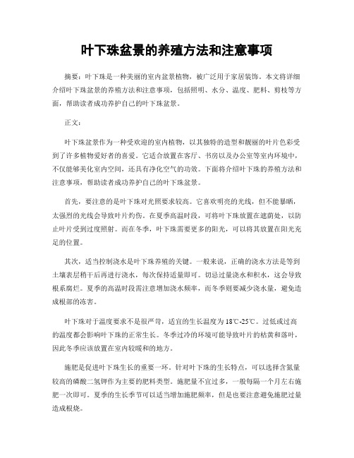 叶下珠盆景的养殖方法和注意事项