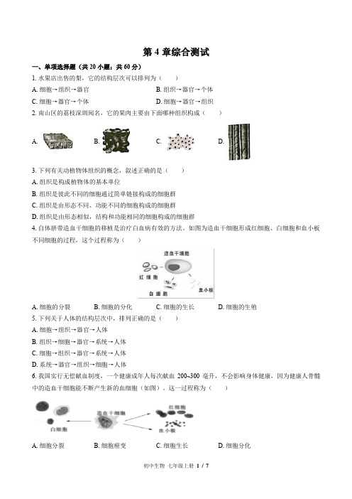 北师大版生物七年级上册：第4章综合测试(含答案)