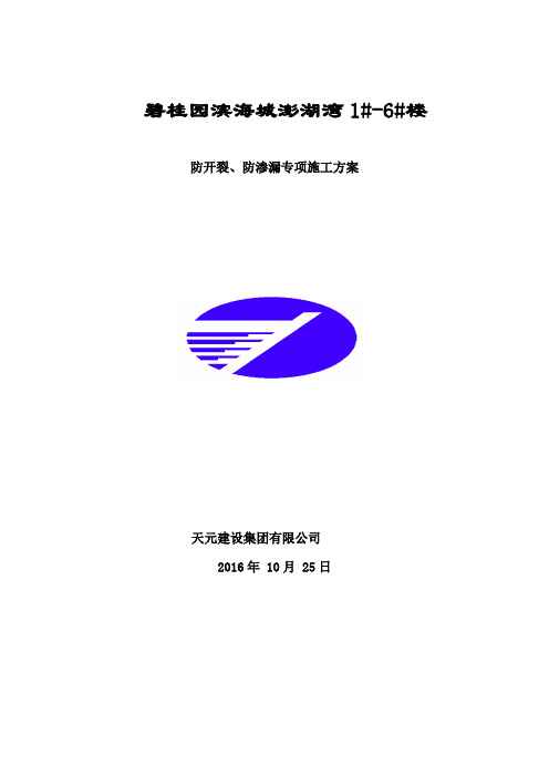 海阳碧桂园防开裂、防渗漏专项施工方案