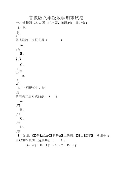 鲁教版、八年级数学期末试卷