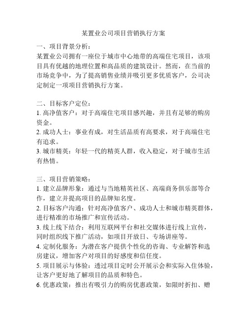 某置业公司项目营销执行方案