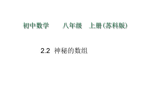 八年级数学神秘的数组(新编201912)