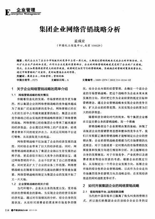 集团企业网络营销战略分析