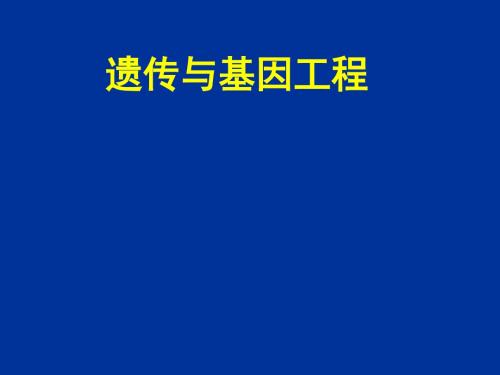 【高中生物】遗传与基因工程ppt6